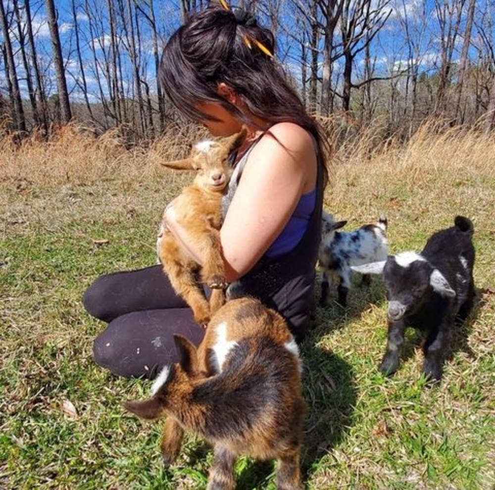 Meet your Posher, Crystal